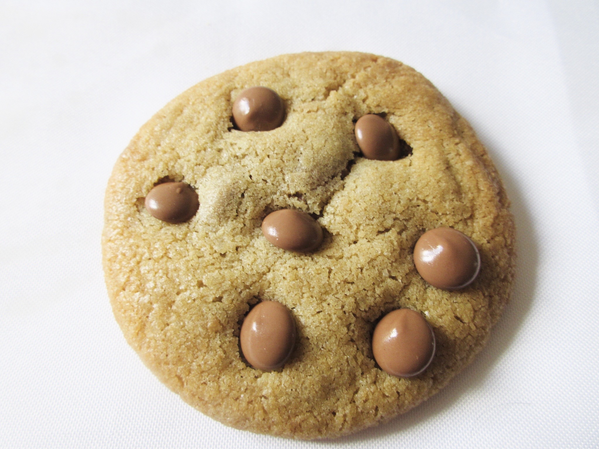 single chocolate chip cookie form a top view with a white background.