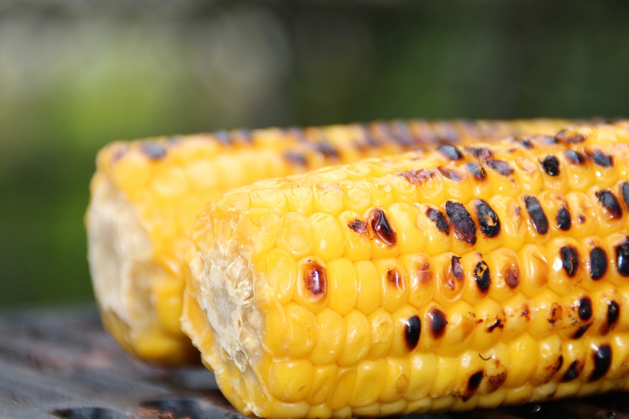 best way to cook corn on the cob showing grilled corn